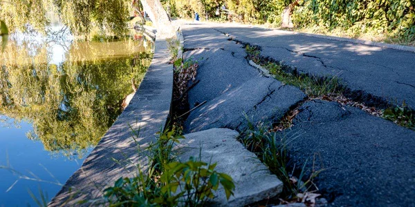parcul herestrau foto facebook jpg