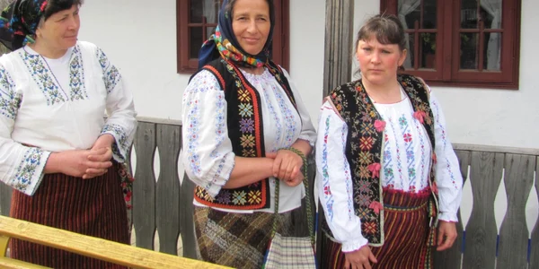 casa razesului pogonesti