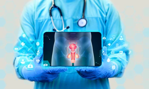 shutterstock 2454248569 jpg