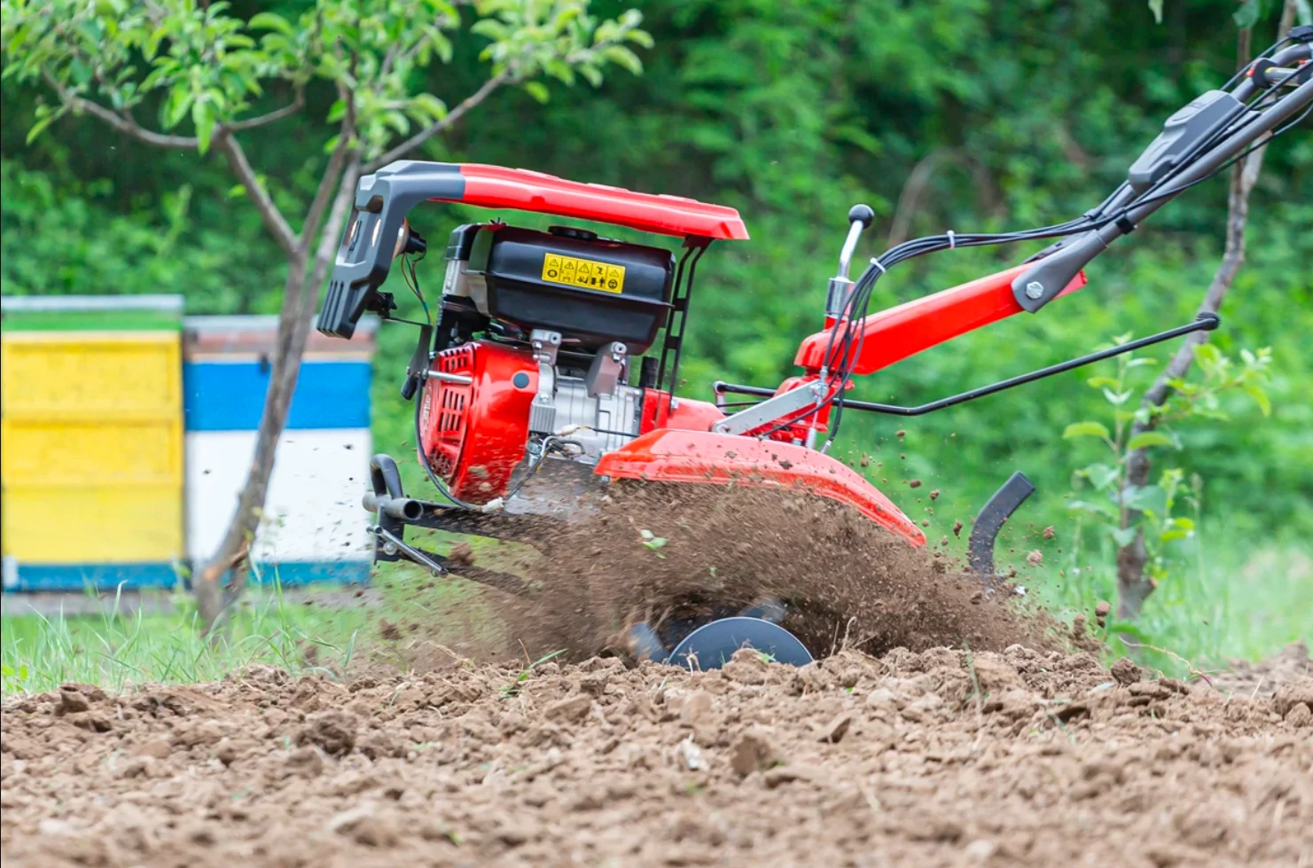 Black Friday la Agroland vine cu mari reduceri pentru casă și grădină