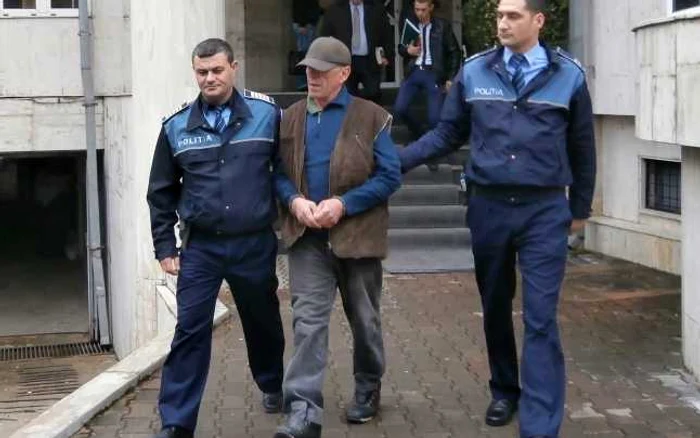 Pădurarul a fost condamnat de Tribunalul Gorj