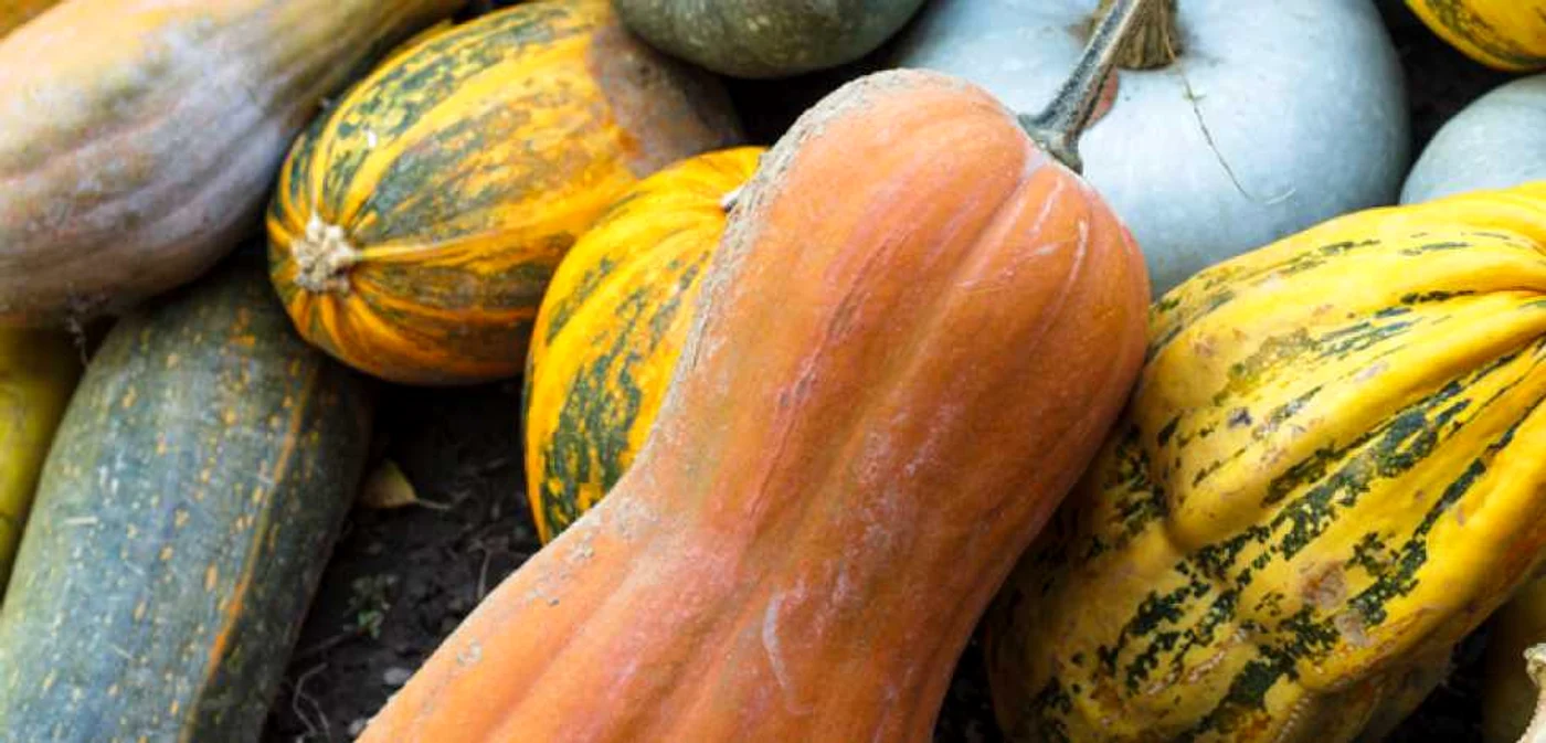 Carotenoizii din dovleac reduc considerabil riscul unei recidive FOTO Arhivă