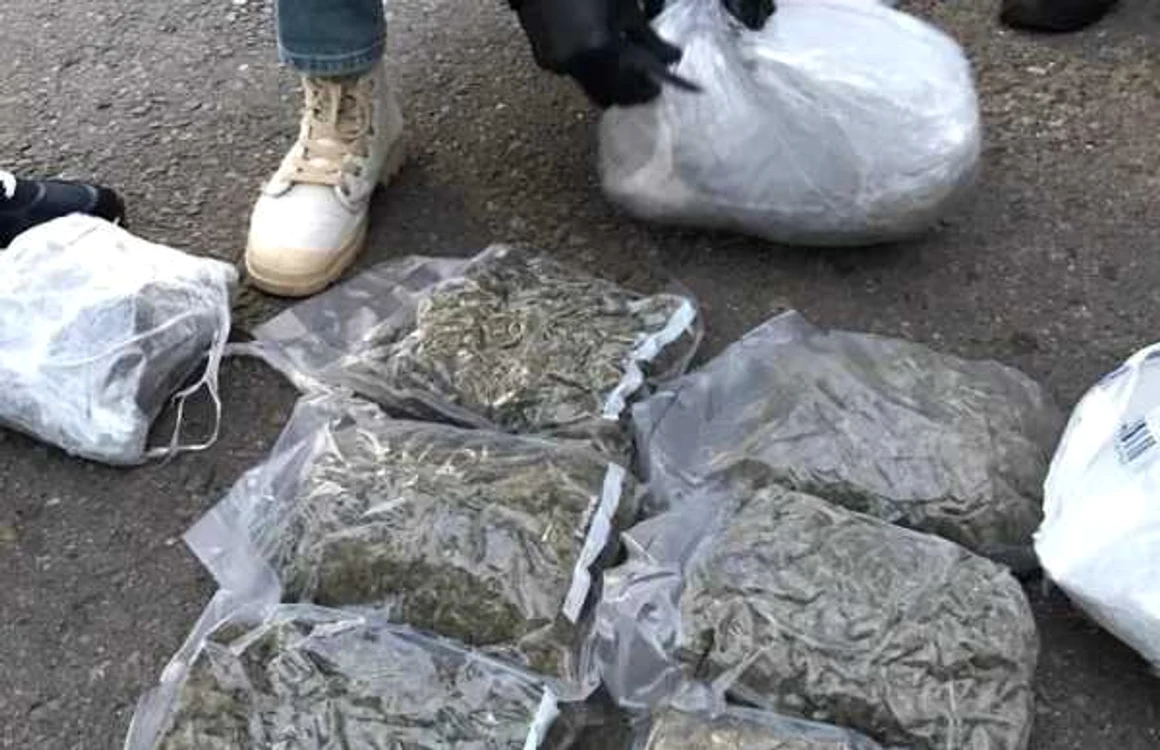 Drogurile au fost descoperite într-un colet expediat din Spania FOTO IPJ Ialomiţa