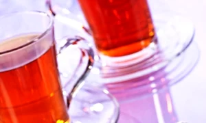 CLIIMA20130211 0007 1 jpeg