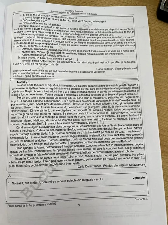 subiect romana evaluare nationala 2022