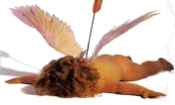 Mirajul Zilei Îndrăgistiţilor a fost stricat de judecători în cazul unui bărbat din Iaşi