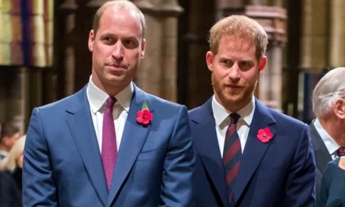 10 printii william si harry au un frate vitreg jpg jpeg