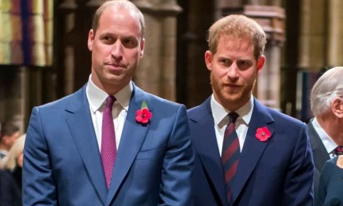 10 printii william si harry au un frate vitreg jpg jpeg