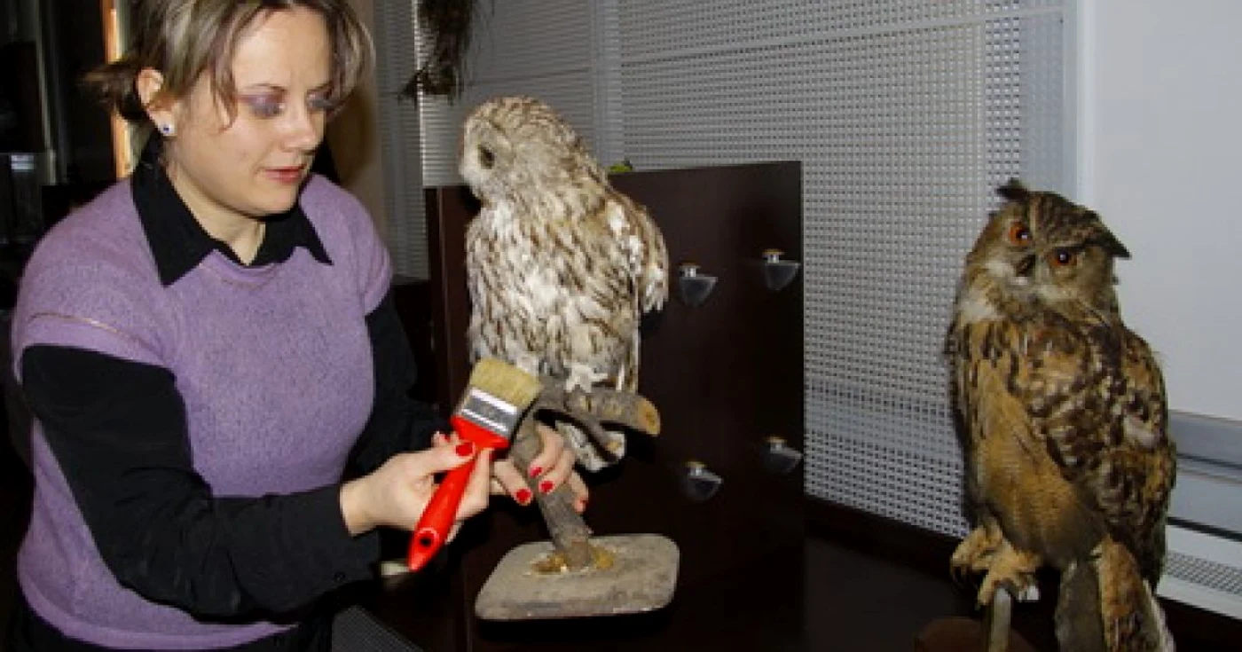 Ghizele Vonica, curator botanică la muzeu, a rânduit ultimele detalii.