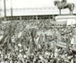 ceausescu la tulcea
