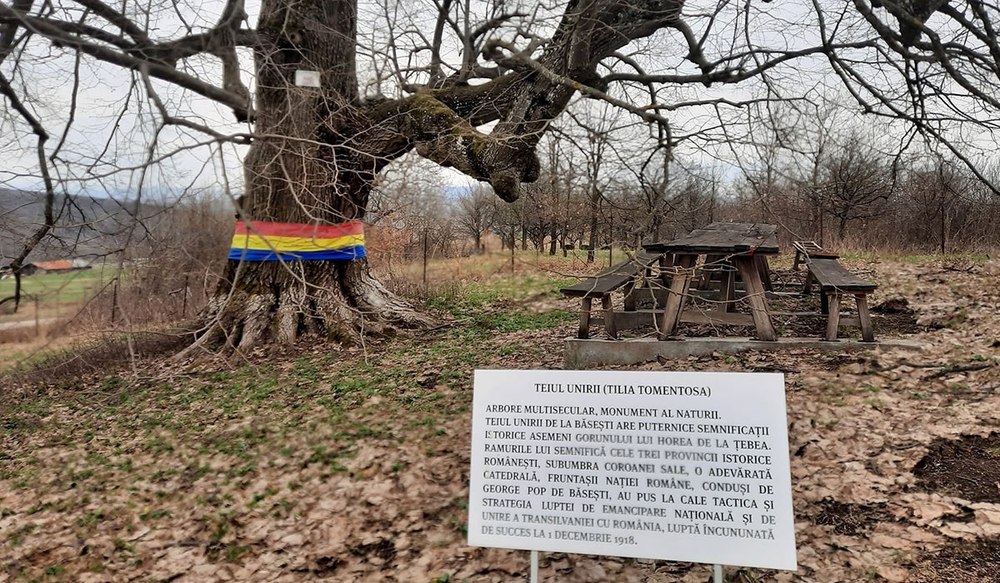 Teiul Unirii, locul unde se întâlneau demnitari aflați în vizită la George Pop de Băsești