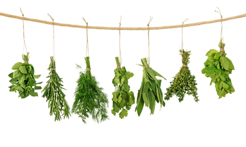 1 71547 original jpg jpeg