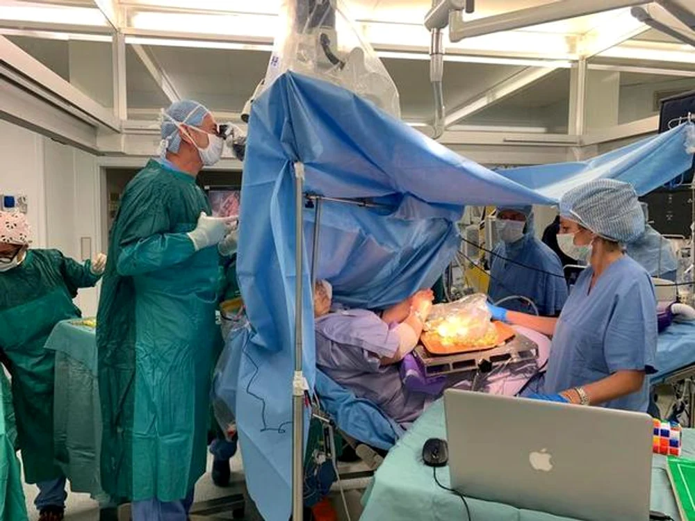 1 italy surgery olives jpg jpeg
