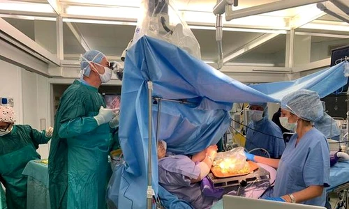 1 italy surgery olives jpg jpeg