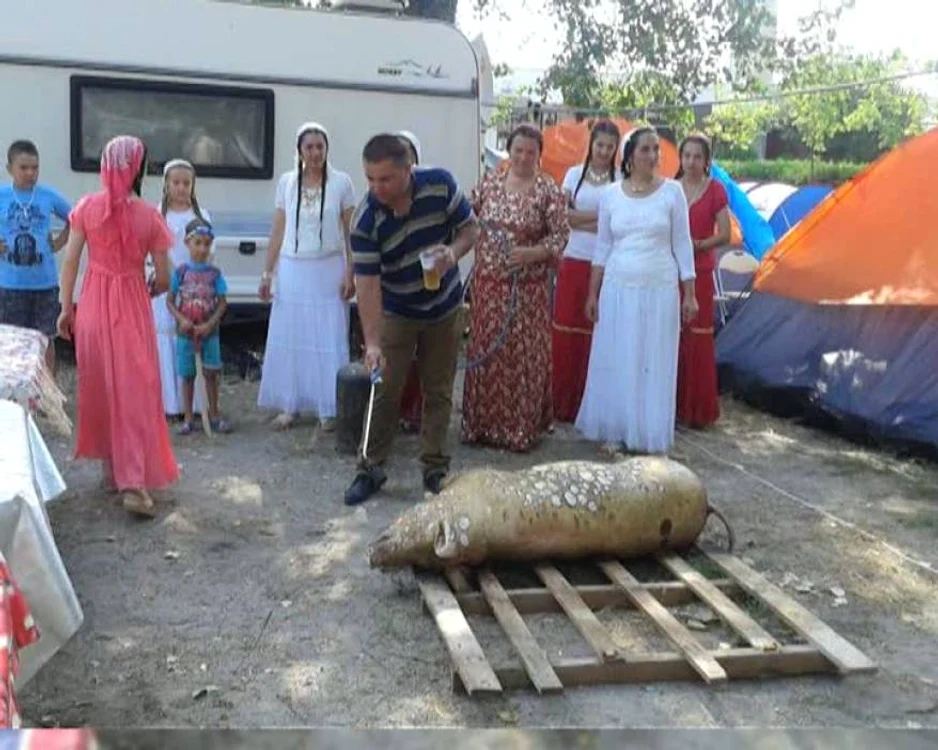 
    Au sacrificat porcul chia rpe plaja din MamaiaFoto Reporterntv.ro  