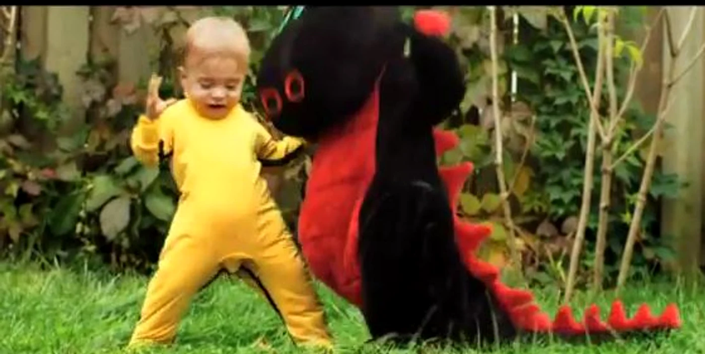 
    Captură video  