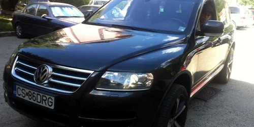 bizon in trafic