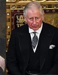 Regele Charles, Nostradamus jpg