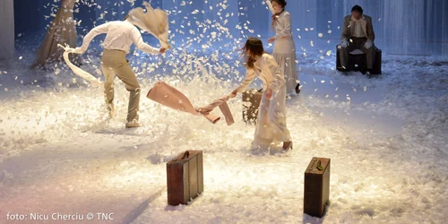 livada cu visini foto nicu cherciu