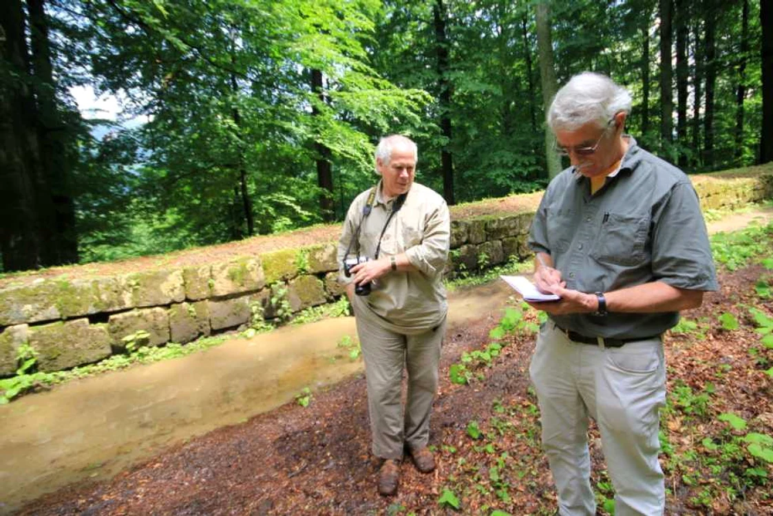Sarmizegetusa Regia. Iunie 2014. FOTO