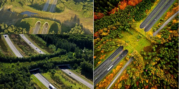 Imagini cu ecoducte realizate peste autostrăzi în lume Foto colaj jpg