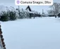 Curtea Mirelei Vaida este plina de zăpadă