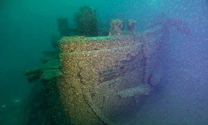 548673983 1205020421671808 9208402513604181627 n jpg