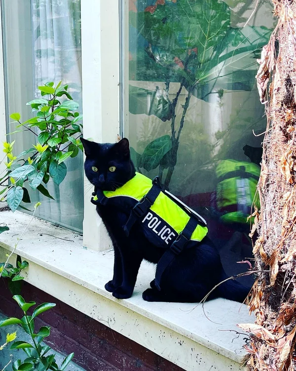 Nimis este mândru de vesta lui de polițist (Foto: Instagram)