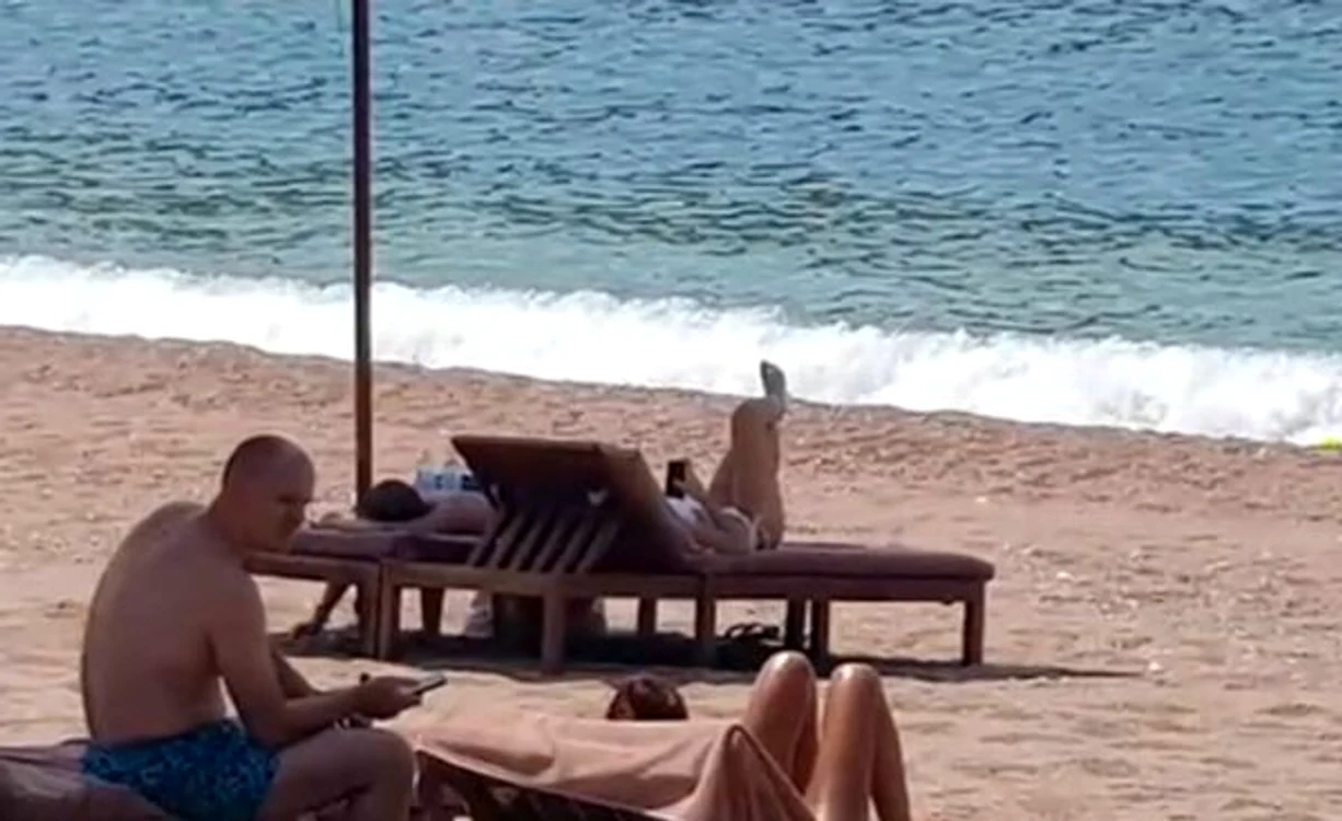
    Sebastian Ghiţă a fost văzut pe plaja Sveti Stefan din Muntenegrufoto: captură video Digi 24  