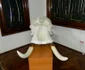 carei 4