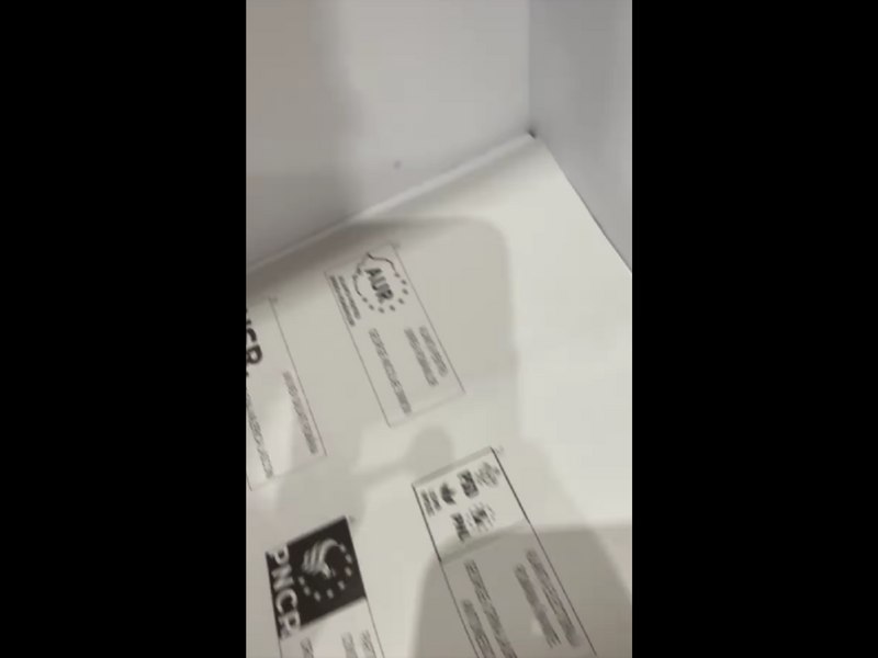 Un român din diaspora și-a filmat buletinul de vot în timp ce punea ștampila pe AUR: „Este valid votul?”