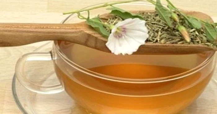 Laxativ natural la îndemână: volbură
