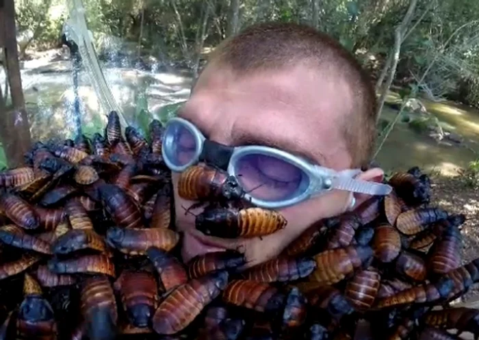 Luptătorul a demonstrat că are sânge rece la &quot;Sunt celebru, scoate-mă de aici&quot; 