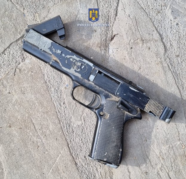 Câini sacrificați de o bandă de braconieri, pentru a încolți și împușca opt urși și cerbi VIDEO