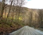 Valea Sibișelului din Hunedoara Foto Daniel Guță ADEVĂRUL (10) jpg