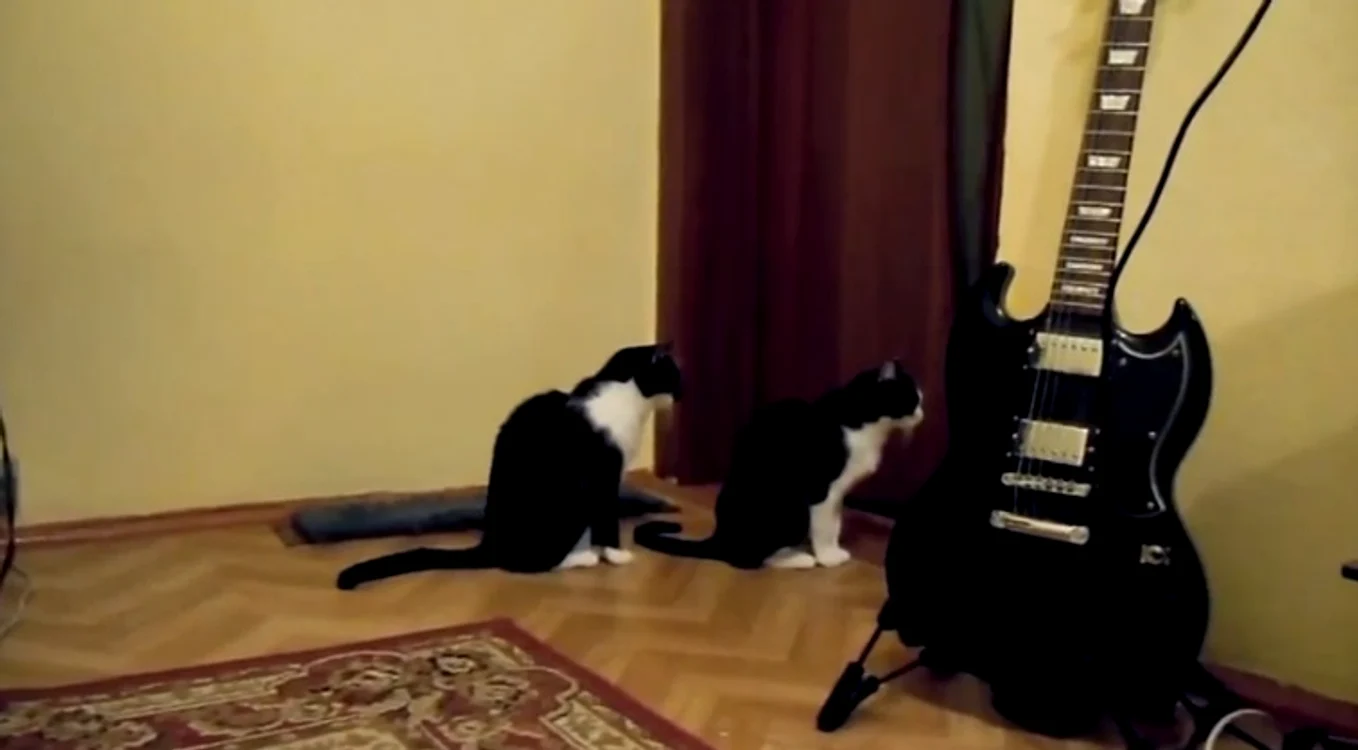 
    captură video  