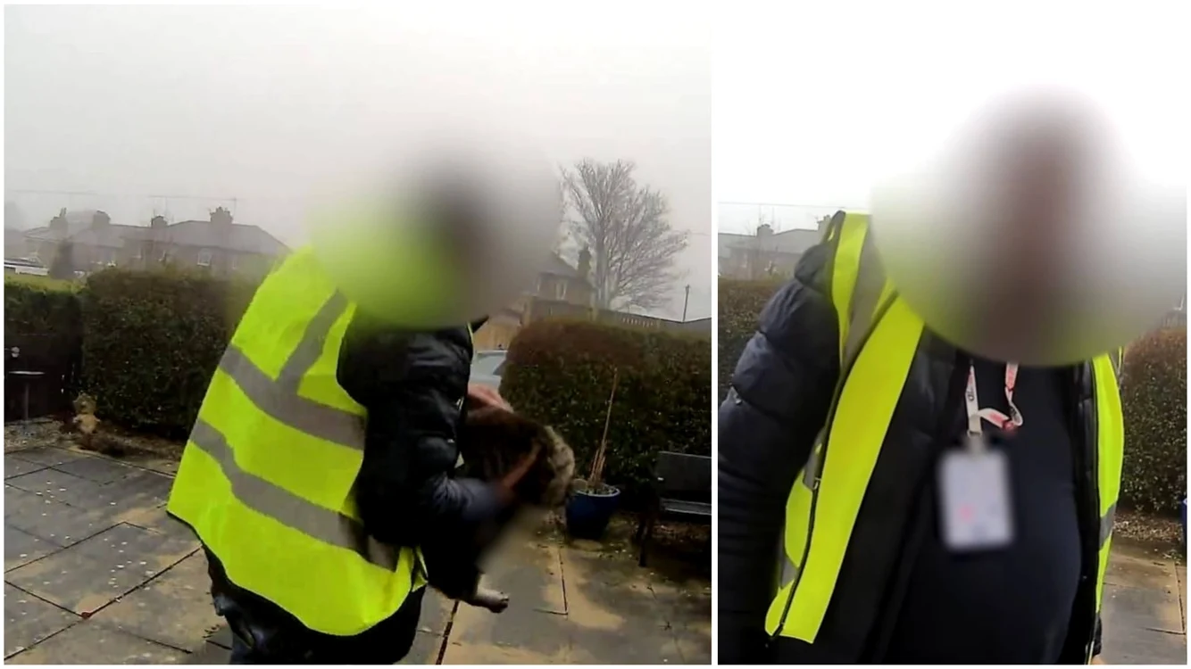 Scene cu românul care fură pisica - Foto: captură video 