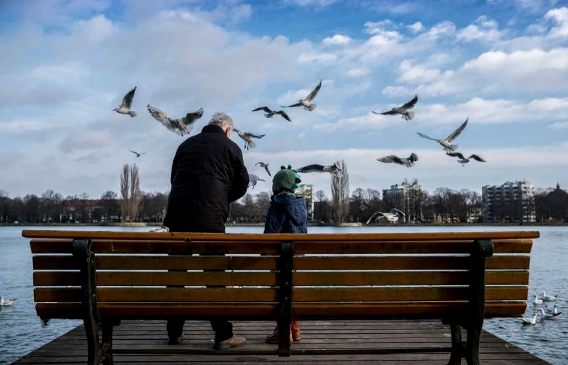 Pescărușii sunt păsări foarte inteligente FOTO: Arhivă, Adevărul