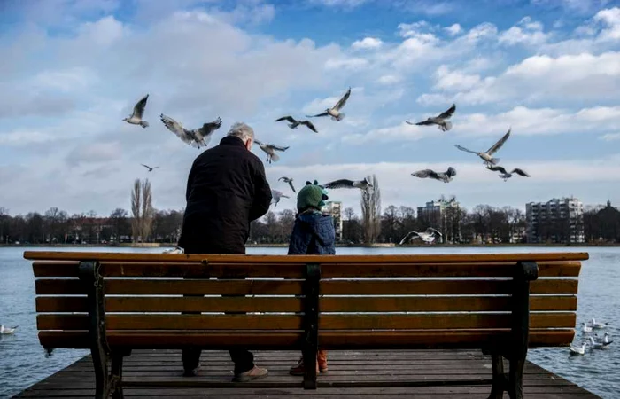 Pescărușii sunt păsări foarte inteligente FOTO: Arhivă, Adevărul