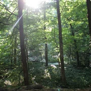 valea fluturilor (9) JPG