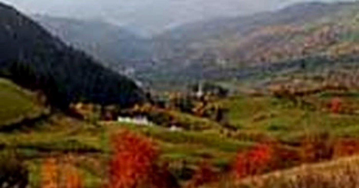 100 de milioane de euro pentru reducerea emisiilor de gaze în ţările în curs de dezvoltare