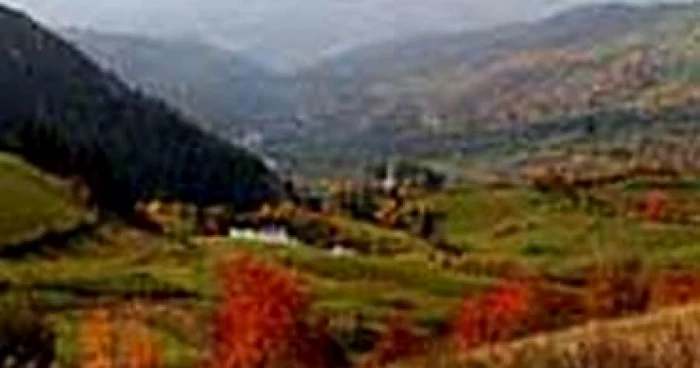 100 de milioane de euro pentru reducerea emisiilor de gaze în ţările în curs de dezvoltare