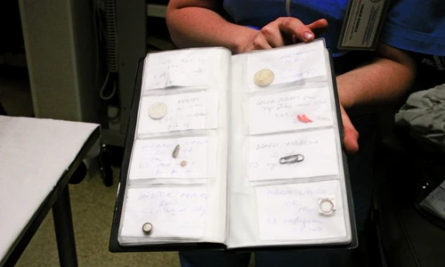 1 46353 original jpg jpeg