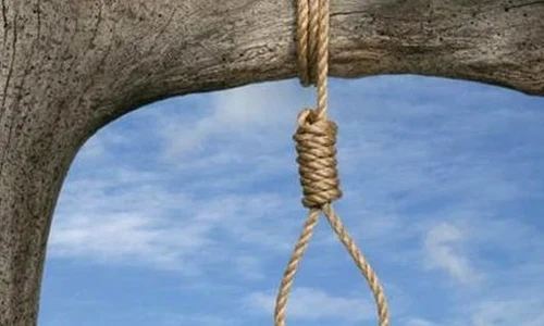 s560x316 spanzuratoare jpeg