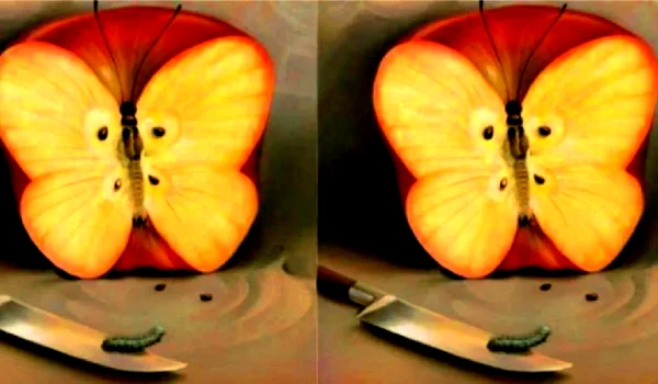 frica secretaYourtango jpg