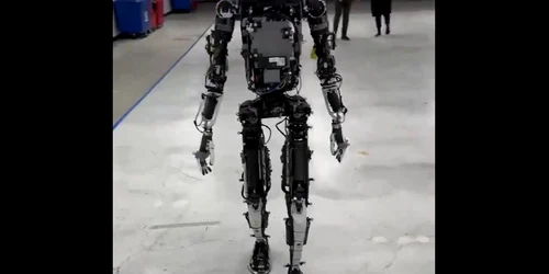 robot optimus gen2 jpg