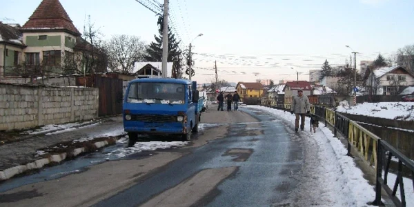 Reprezentanţii municipalităţii au somat patru proprietari de "rable"