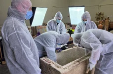 Un sarcofag roman intact, aparținând unui copil, descoperit la marginea de nord a necropolei tomitane