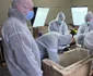 Un sarcofag roman intact, aparținând unui copil, descoperit la marginea de nord a necropolei tomitane