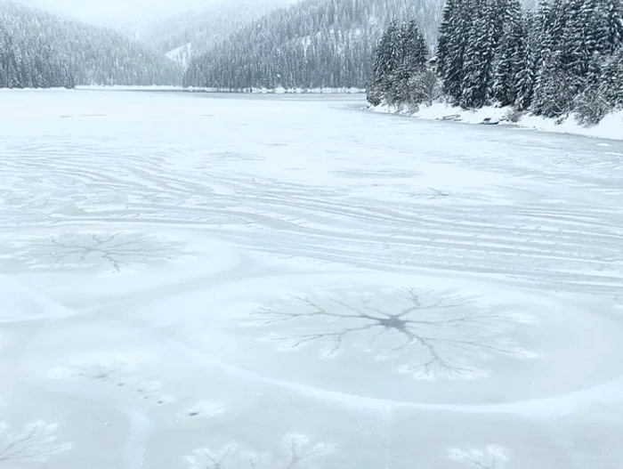 Fenomen rar pe Lacul Beliș. Foto: Raul Ghiran, președintele Rescue Transilvania